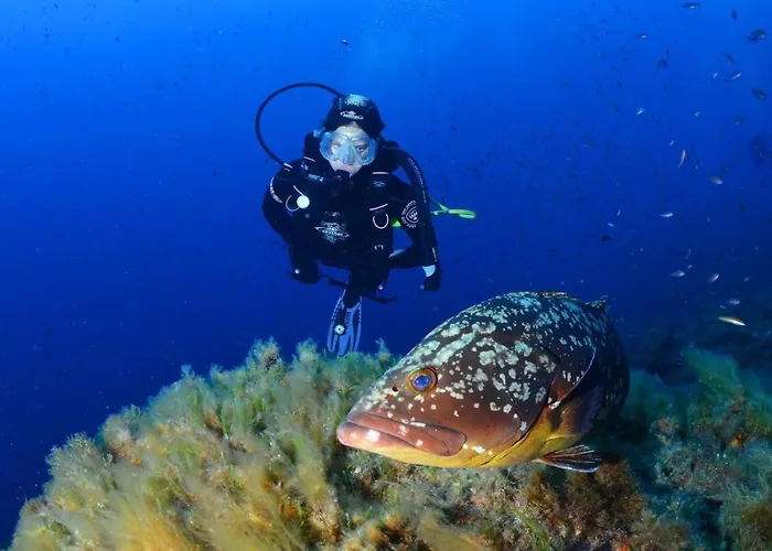 Parque de Campismo Paradis Bleu Et Ile D'or Saint-Raphaël