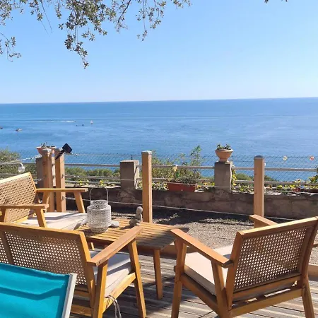 Camping Paradis Bleu Et Ile D'or *