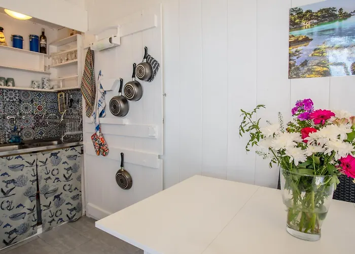 Campingplatz Paradis Bleu Et Ile D'or Saint-Raphaël