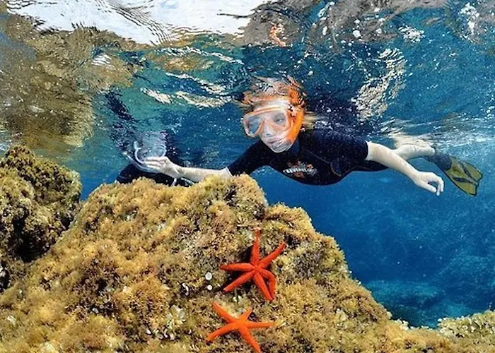 Paradis Bleu Et Ile D'or Kemping *